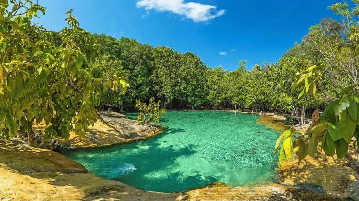 Emerald Pool Krabi — Green Water in the Forest and How to Get There
