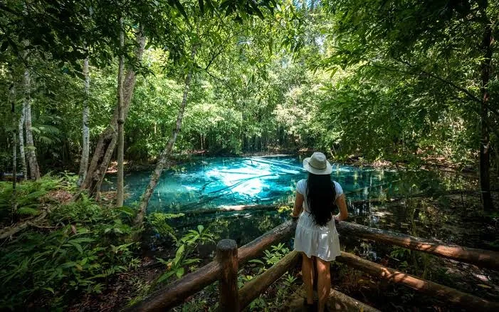 Emerald Pool Krabi — Green Water in the Forest and How to Get There