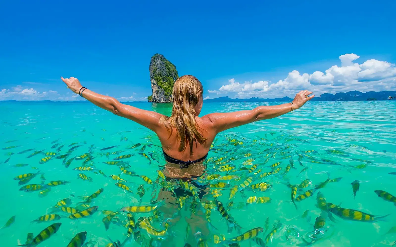 Full-Day vs Half-Day Tours — Which One Is Worth It for You?