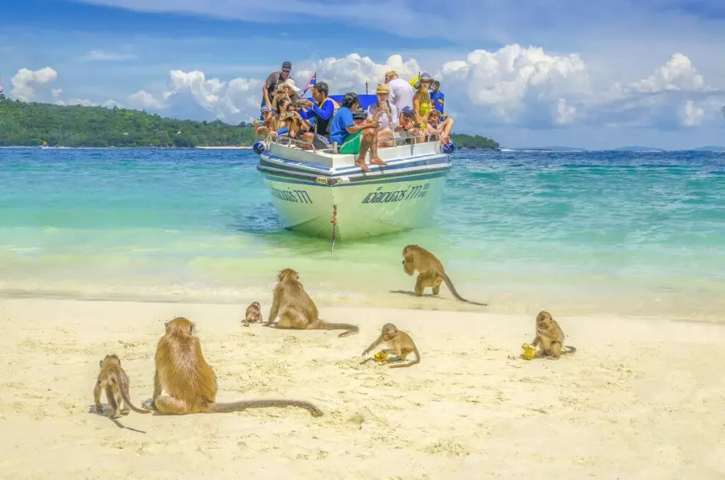 Should You Stay on Phi Phi Don or Day Trip Phi Phi Le From Railay or Tonsai?
