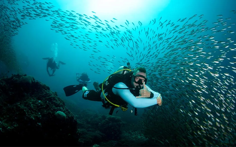 The Best Diving Sites in Thailand Before Planning a Full Day in Krabi