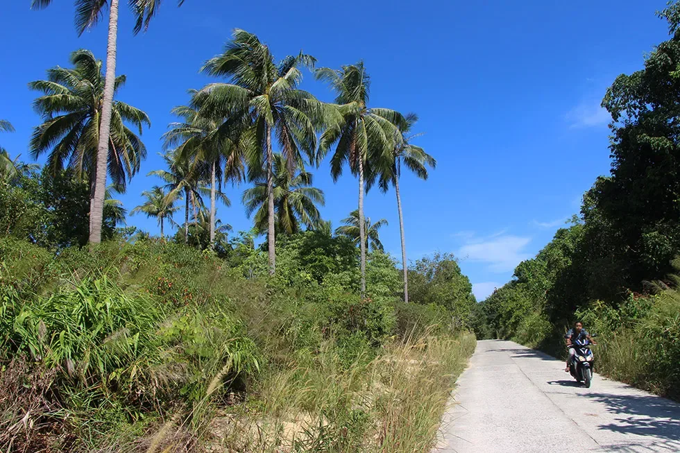 The Best Things To Do in Koh Phayam, Thailand